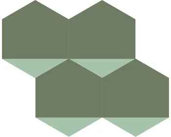 Ladrilho Hexagonal Isabela