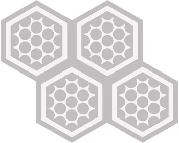 Ladrilho Hexagonal Patricia