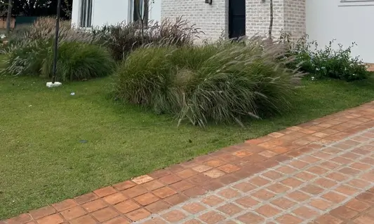 Imagem de Projeto da Olaria São Luiz